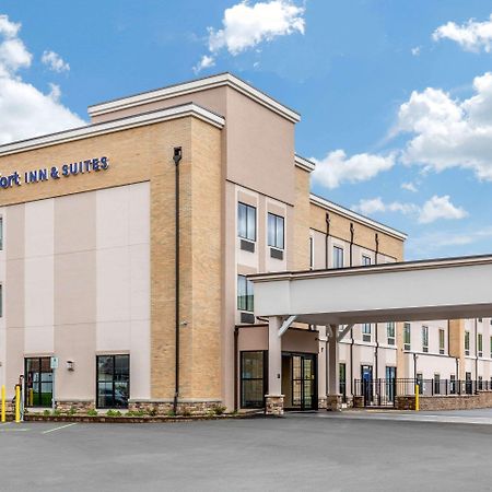 Comfort Inn & Suites Schenectady - Scotia Bagian luar foto
