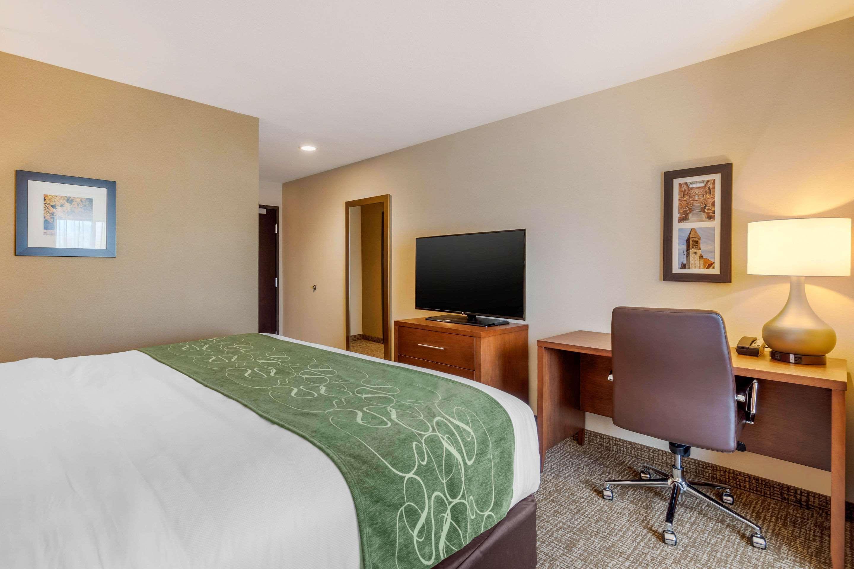 Comfort Inn & Suites Schenectady - Scotia Bagian luar foto