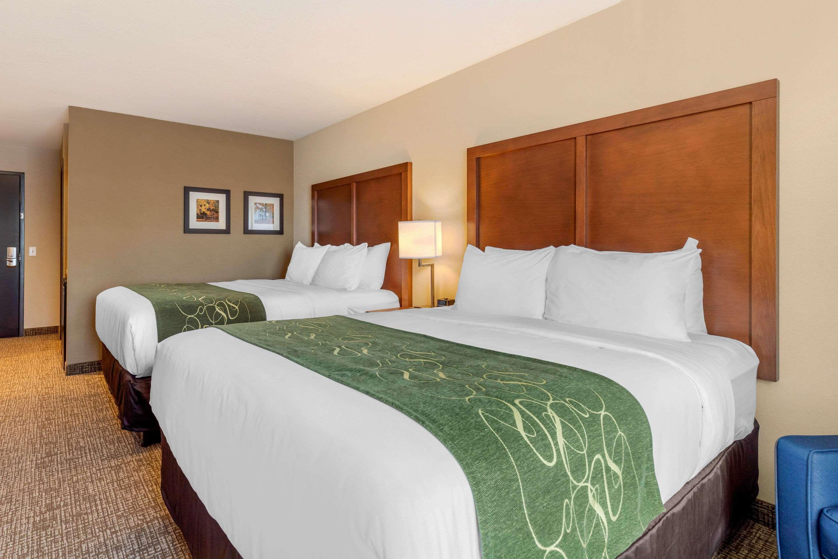 Comfort Inn & Suites Schenectady - Scotia Bagian luar foto