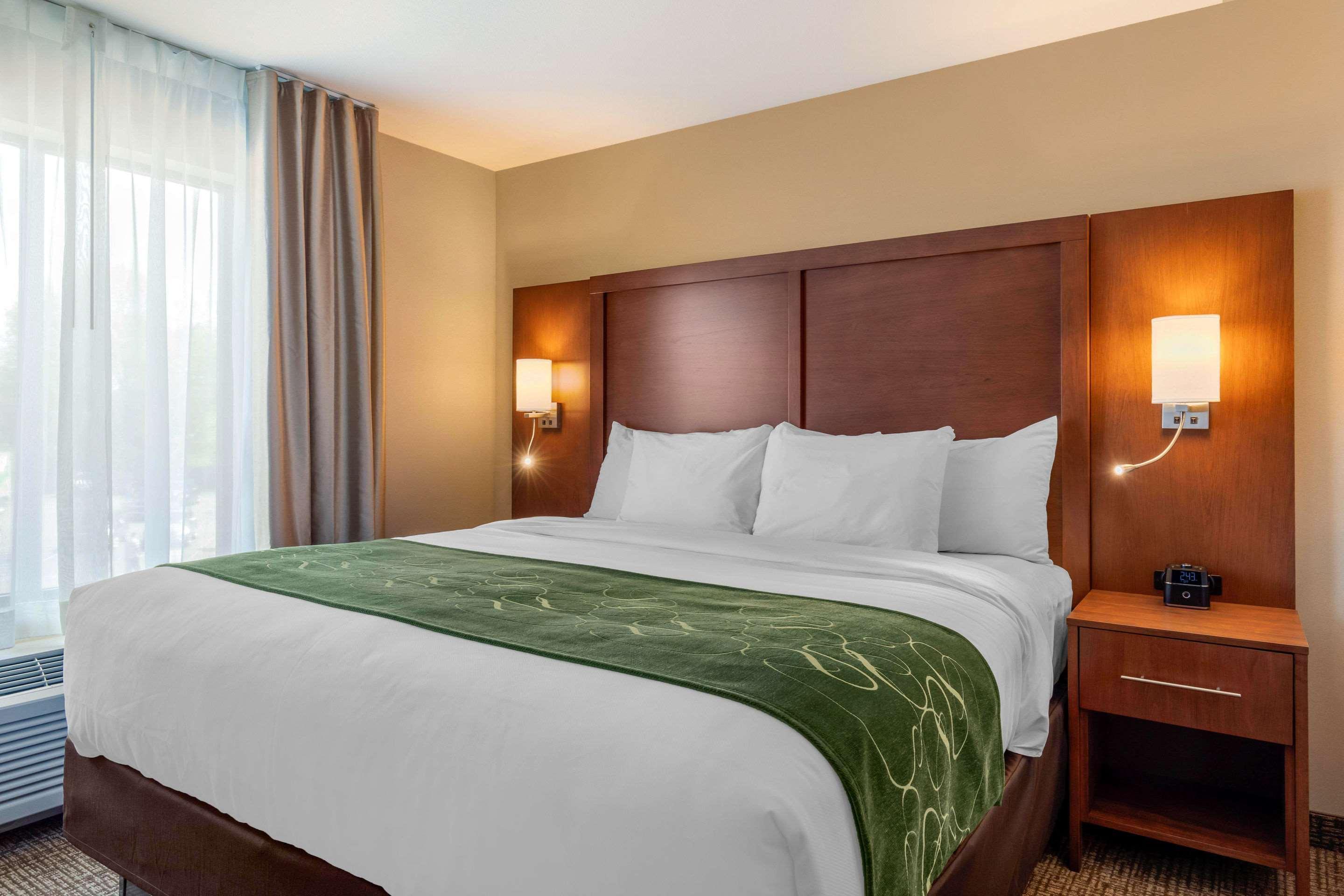 Comfort Inn & Suites Schenectady - Scotia Bagian luar foto