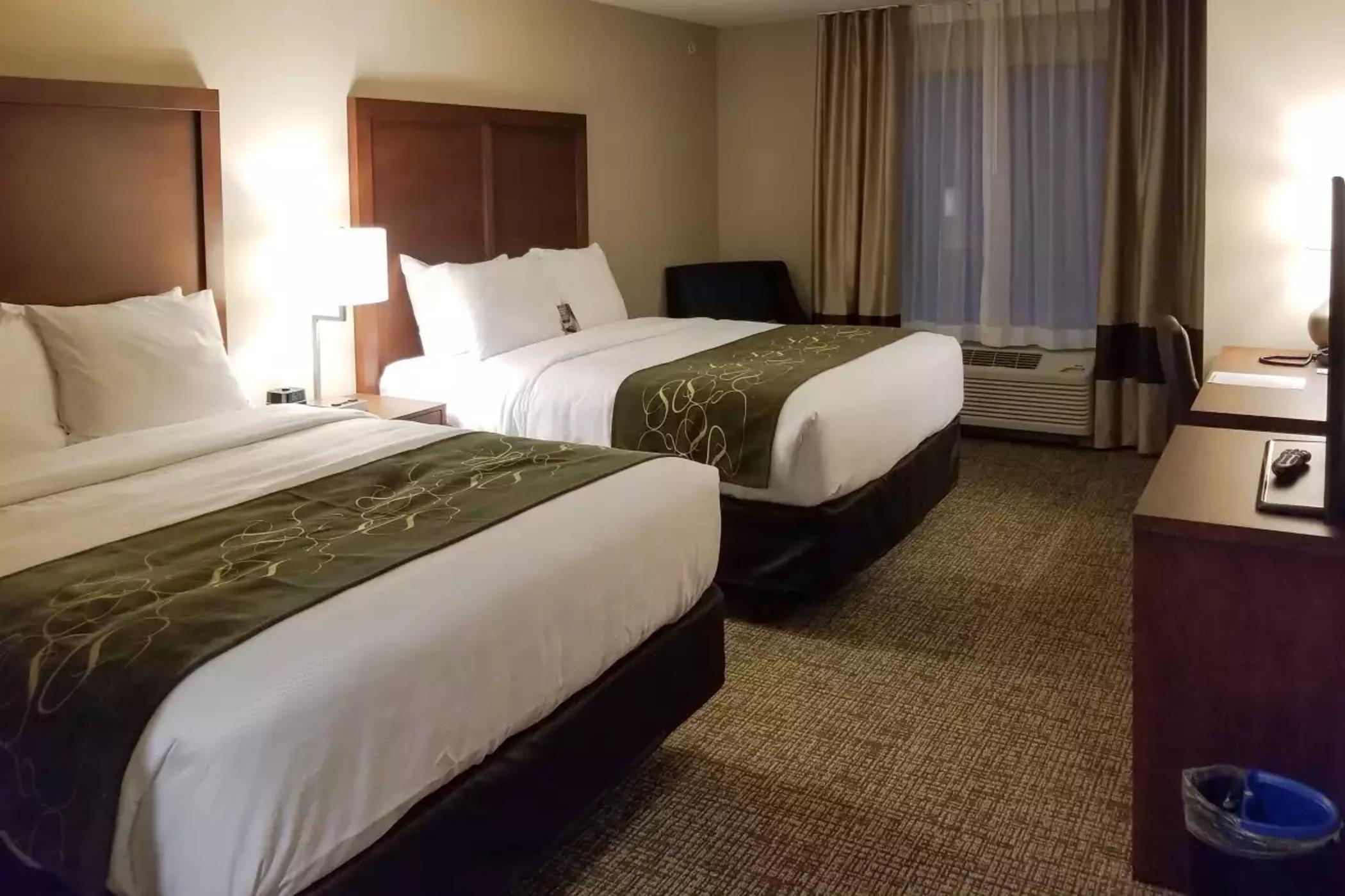Comfort Inn & Suites Schenectady - Scotia Bagian luar foto