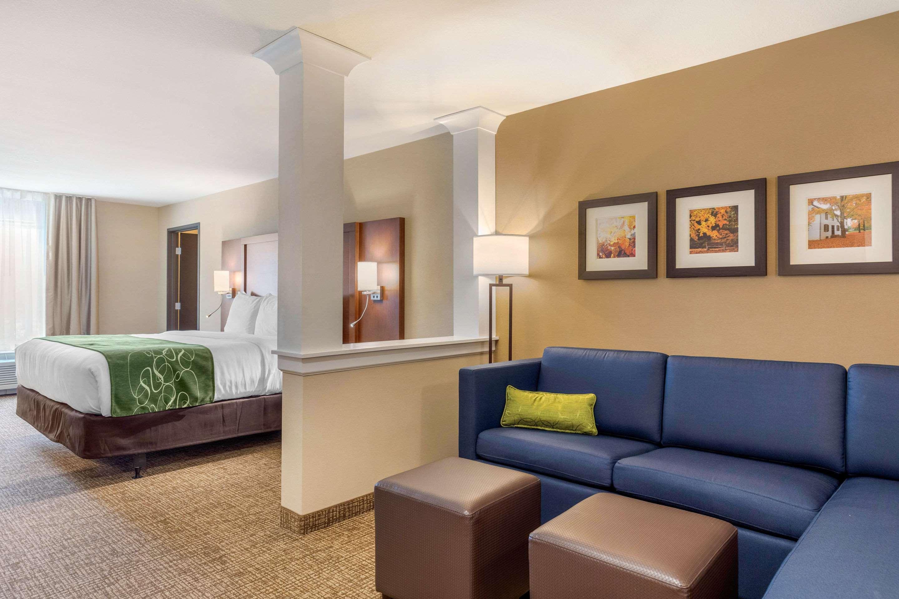 Comfort Inn & Suites Schenectady - Scotia Bagian luar foto