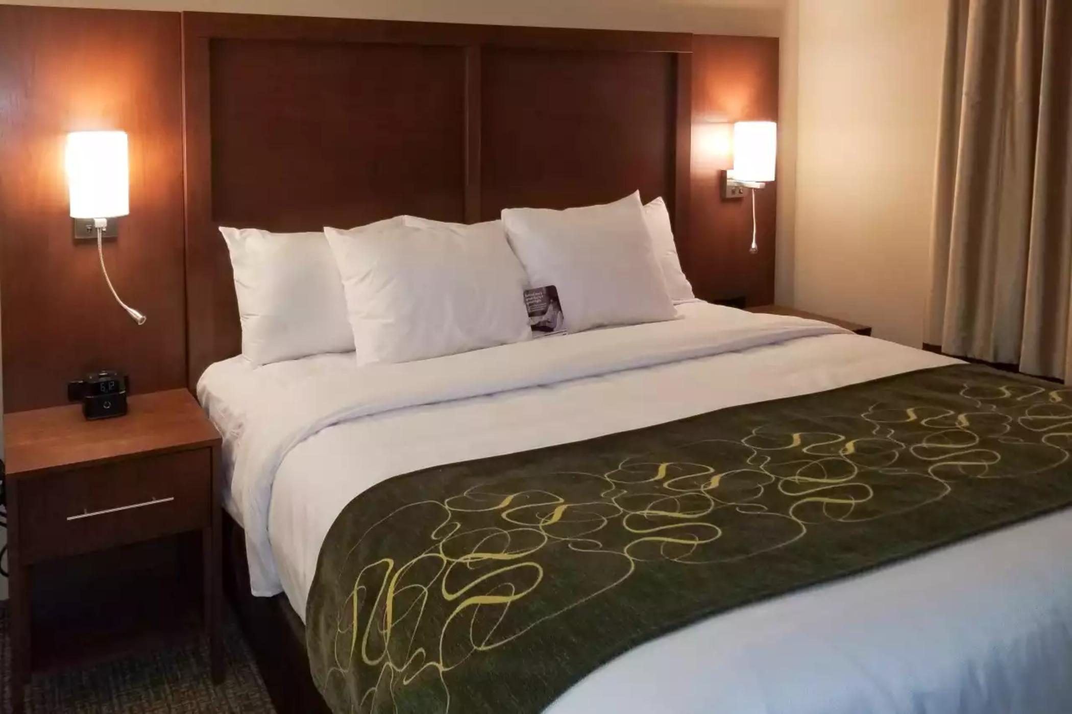 Comfort Inn & Suites Schenectady - Scotia Bagian luar foto