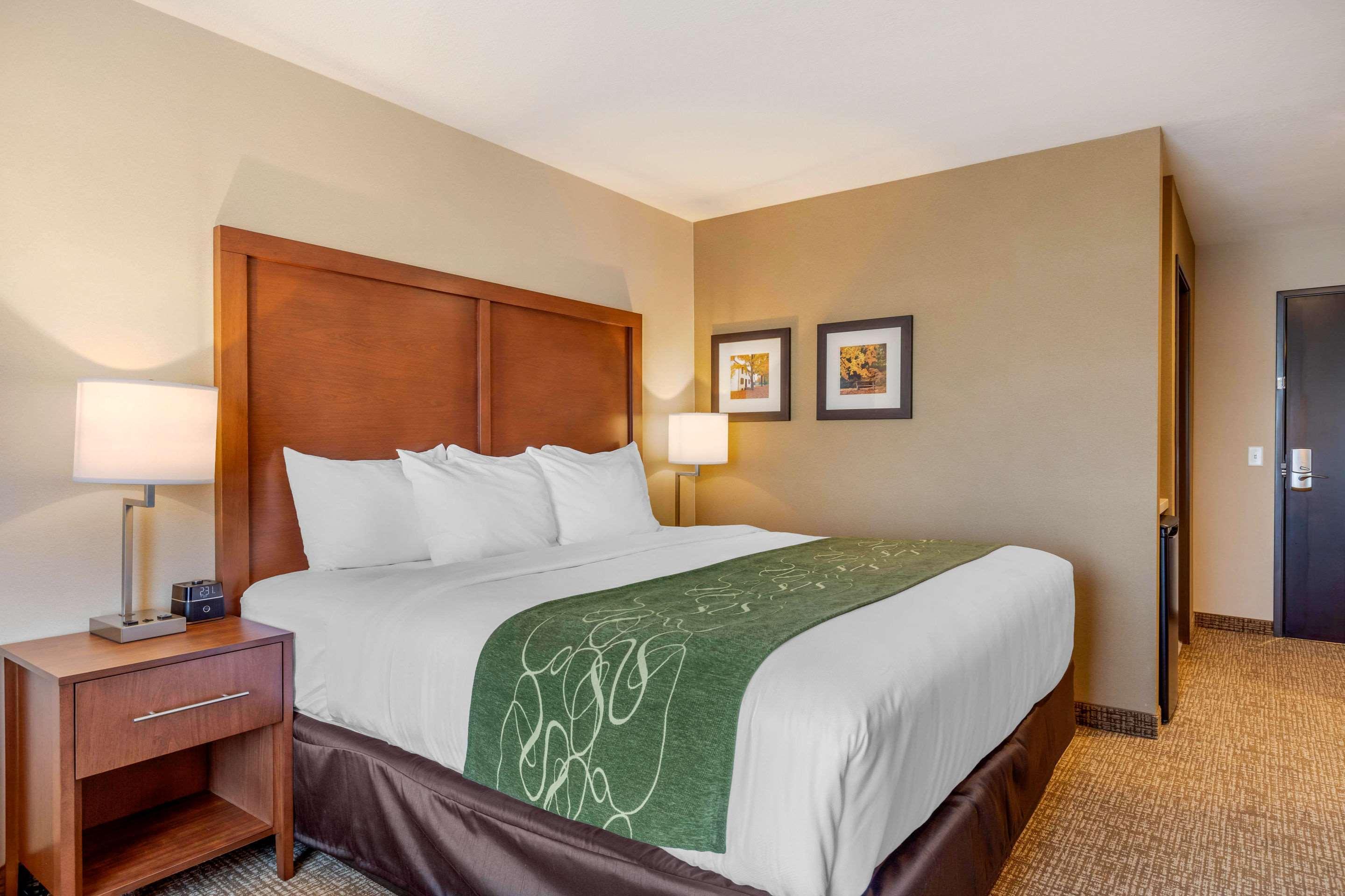 Comfort Inn & Suites Schenectady - Scotia Bagian luar foto