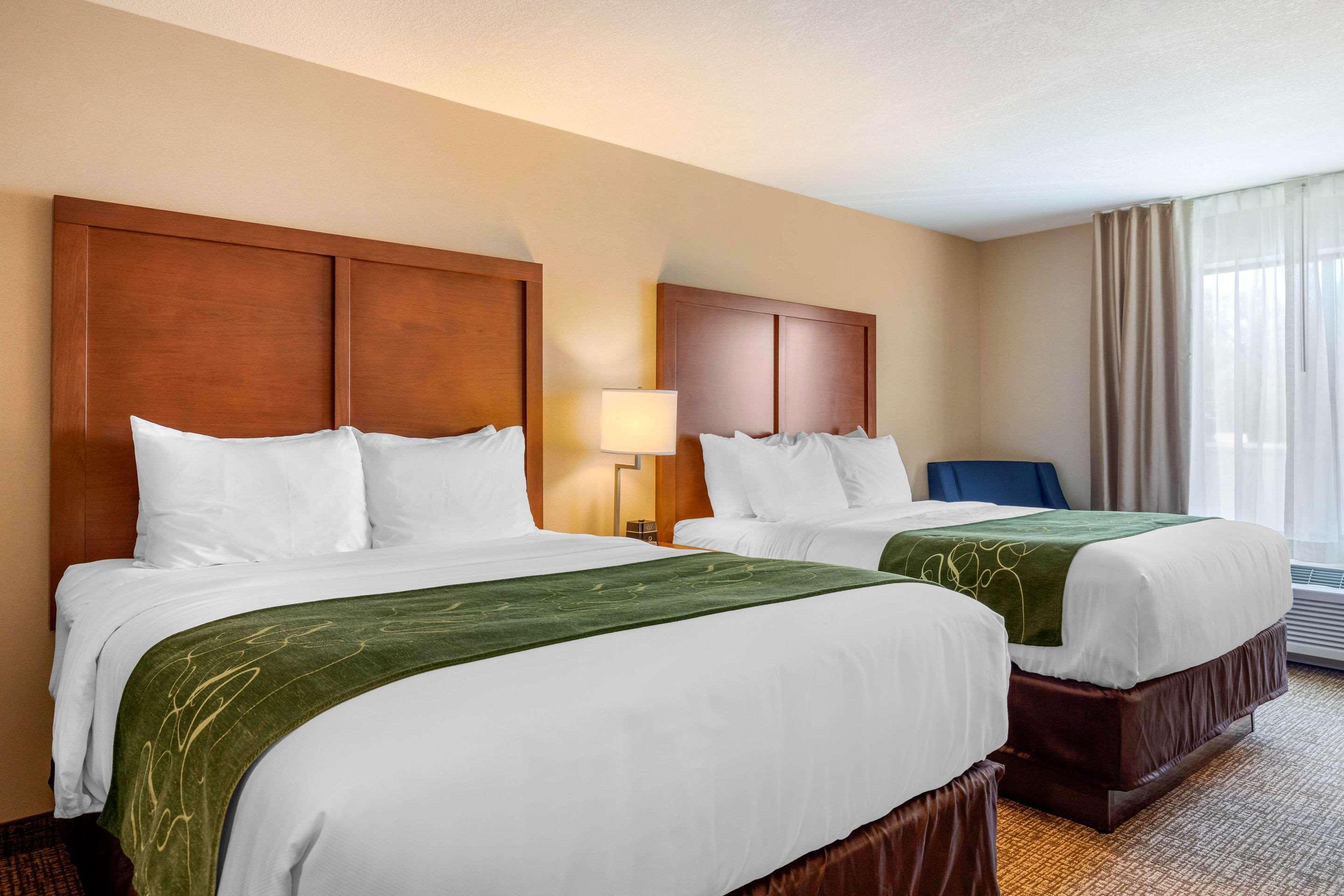 Comfort Inn & Suites Schenectady - Scotia Bagian luar foto