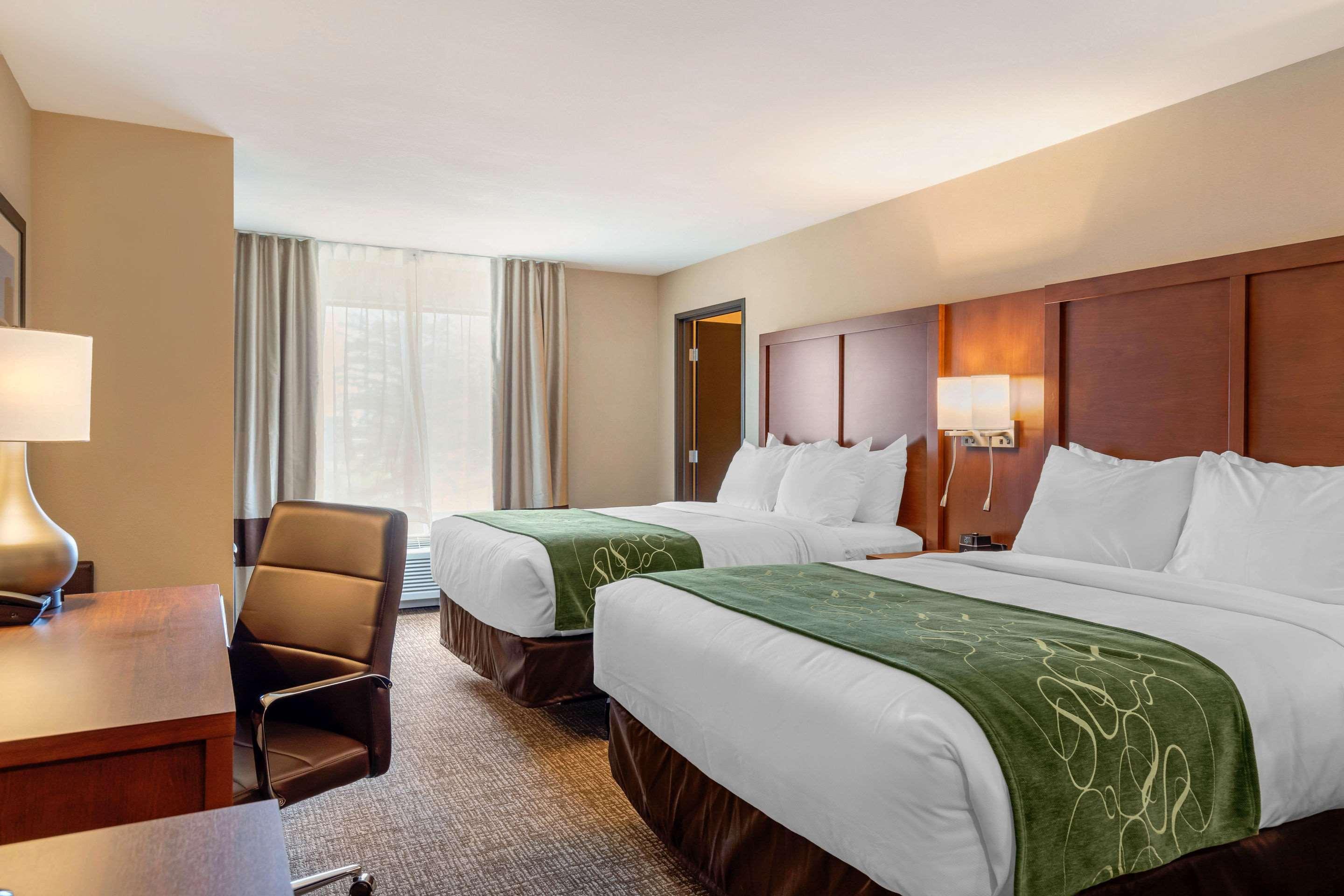 Comfort Inn & Suites Schenectady - Scotia Bagian luar foto