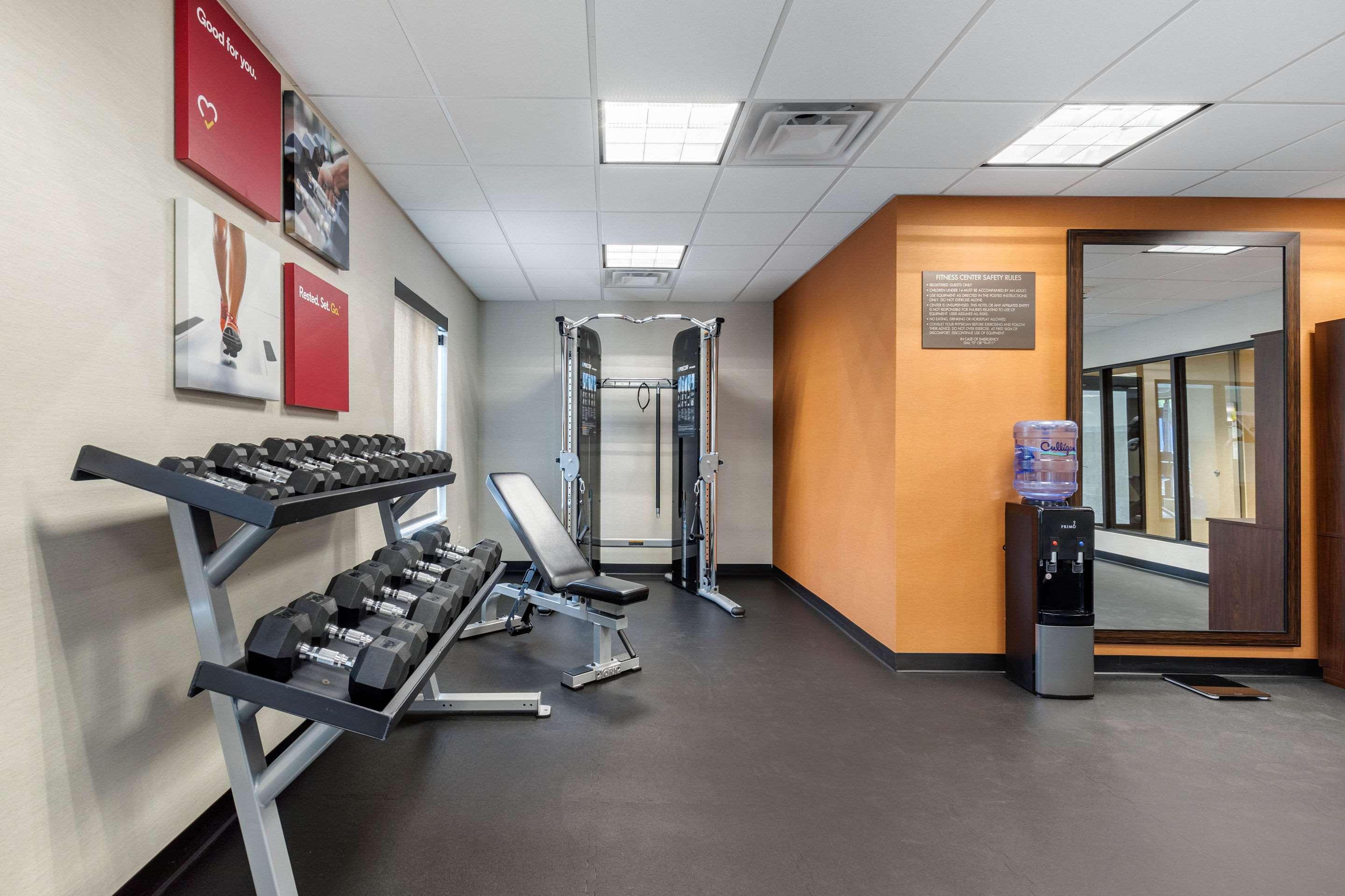 Comfort Inn & Suites Schenectady - Scotia Bagian luar foto